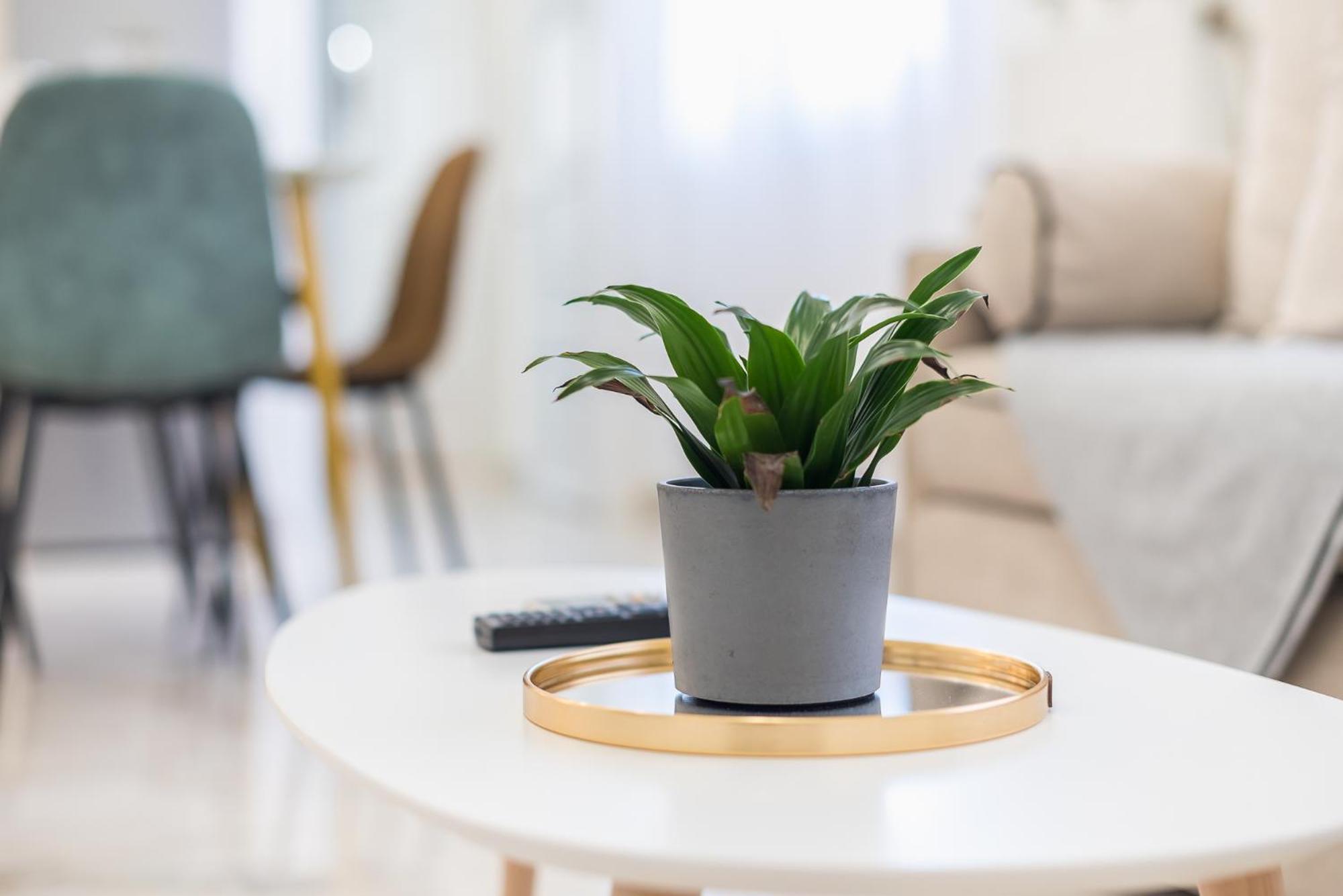 Modern Apartment 200M From Acropolis 100Mbps Netflix Athens Luaran gambar